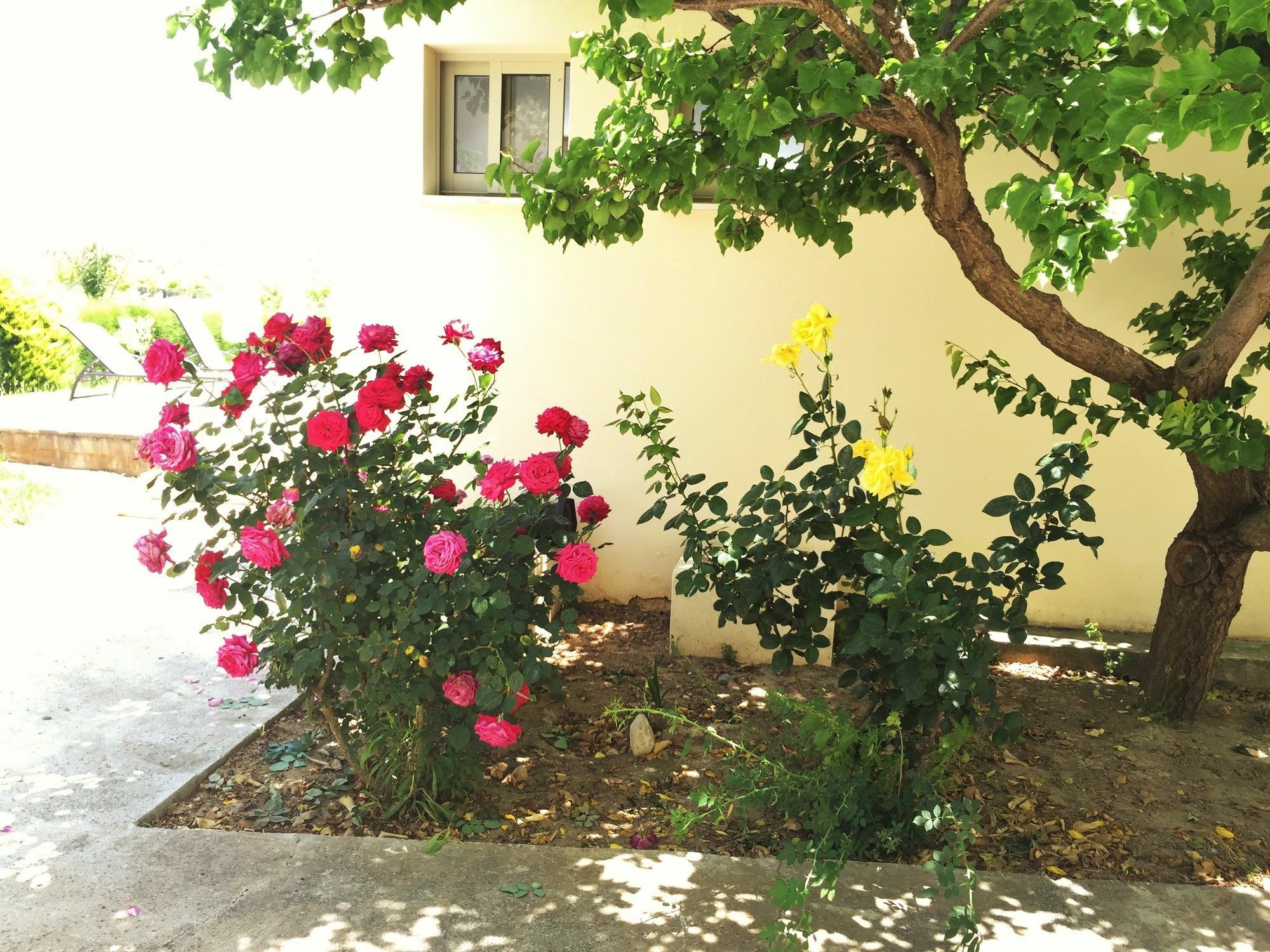 Himonas Apartments ปิสซูรี ภายนอก รูปภาพ